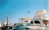 Sportcraft 1977-28'