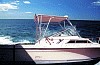 Wellcraft 1991-25'